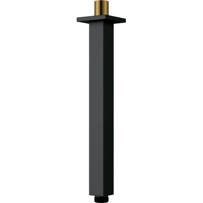 Lubinis dušo purkštukas – 250 mm