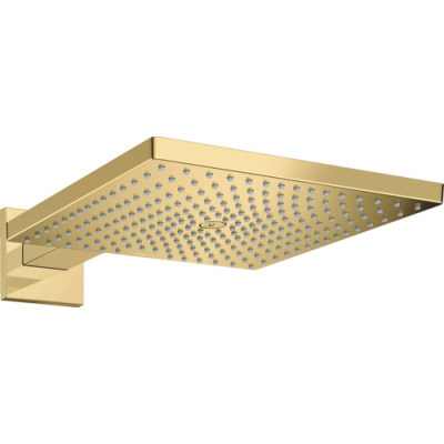 Dušo galva su laikikliu iš sienos HANSGROHE Raindance E 300, 1 srovės, spalva - poliruoto aukso (polished gold optic)