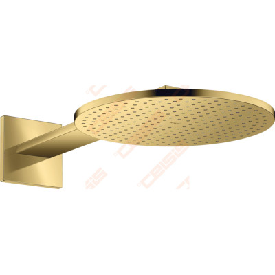 Dušo galva su laikikliu iš sienos AXOR ShowerSolutions 300 2jet, poliruoto aukso spalvos (Polished Gold Optic)