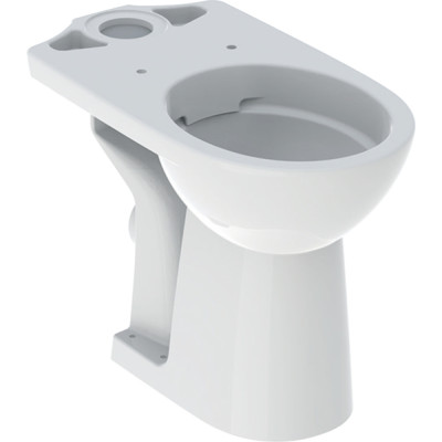 WC puodas Geberit Selnova Comfort, Rimfree, žmonėms su negalia, be bakelio