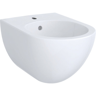 Pakabinama bidė Geberit Aniara, T51 cm